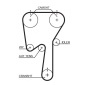 Gates K045509XS