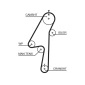 Gates K015580XS