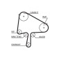 GATES K015596XS