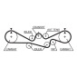 Gates K015537XS