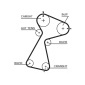 GATES K035561XS