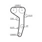 Gates K025607XS