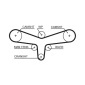 Gates KP15557XS1