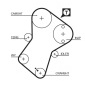 Gates K025049XS
