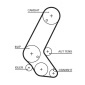 GATES K015595XS