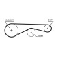GATES K035624XS