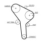 GATES K015564XS