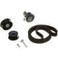 K015369XS Комплект ремня ГРМ PowerGrip