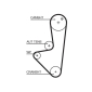 Gates K015575XS