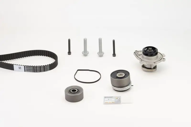CT1077WP2 