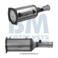 BM CATALYSTS BM11010