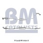 BM CATALYSTS BM91576H