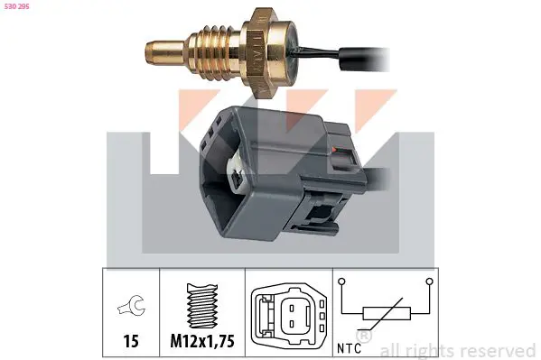 530295 