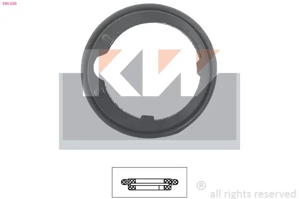 590530 