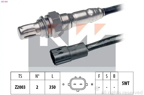 497091 