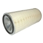 PURRO PURHA0015