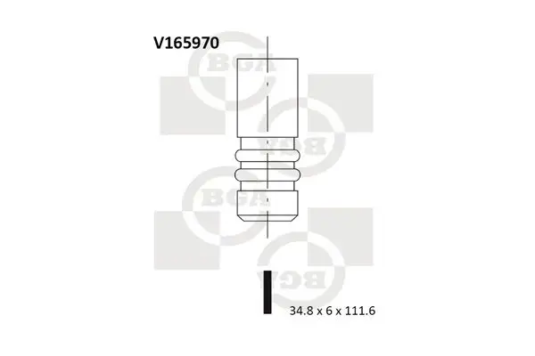 V165970 Впускной клапан