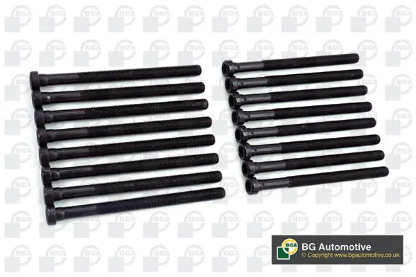 BK3369 Комплект болтов ГБЦ AUDI A4/A6