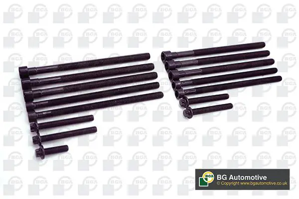 BK0902 К т болтов ГБЦ BMW F10 2.0L
