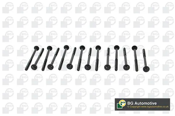 BK2305 Комплект болтов гбц bmw