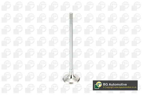 BGA V165051 Клапан 27.5x5x113.2 ex alfa