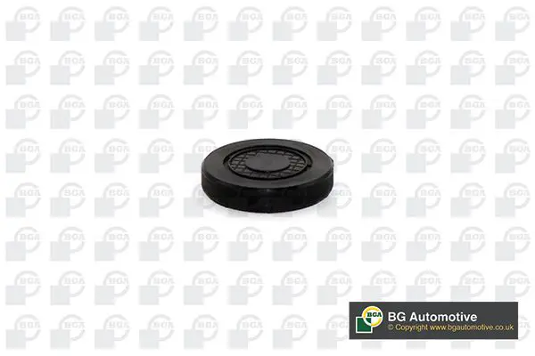 BGA PL4602 Заглушка оси коромысла ren