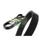 6PK1358 V-Ribbed Belt