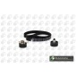 TB2303K Комплект ГРМ FORD 1.6i-2.0i