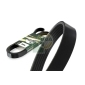 6PK1235 V-Ribbed Belt