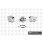 Bga CT5075
