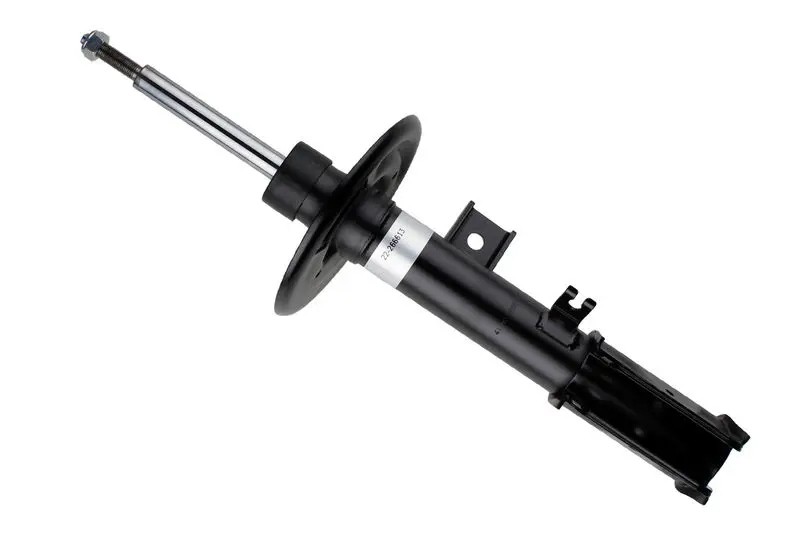 22266613 SUSP STRUT