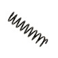 36225859 Пружина подвески: R: BMW E39