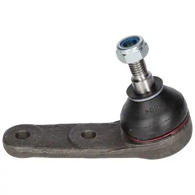CX2537 
