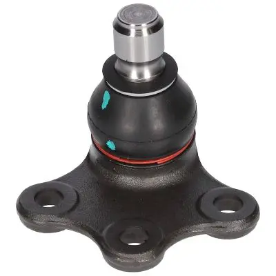 CX0113 