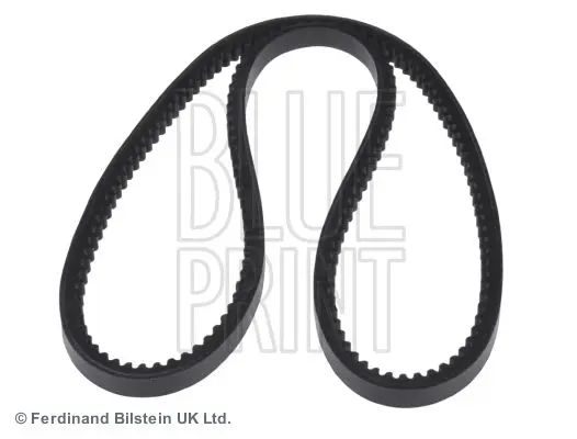 AD10V800 V belt