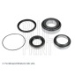 ADN18311 Wheel bearing kit
