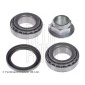 ADG08310 Wheel bearing kit