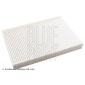 BLUE PRINT ADJ132510