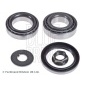 ADG08266 Wheel bearing kit