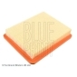 BLUE PRINT ADG02212