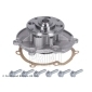 ADG09166 Blue Print Насос