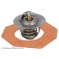 ADT39203 BLUE PRINT Термостат