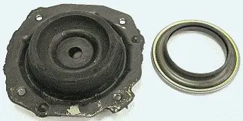 87411R 
