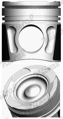 NURAL 8742300000 Поршнекомплект MAN D2066 Euro