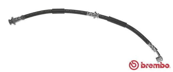 T56153 