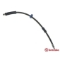 T61031 BREMBO ( T 61 031 ) Шланг тормозной