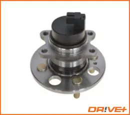 DP2010.10.0548 Wheel Bearing Kit