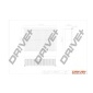 DP1110100044 Воздушный фильтр