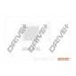 DP1110100050 Воздушный фильтр