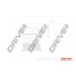 DP1110100070 Воздушный фильтр